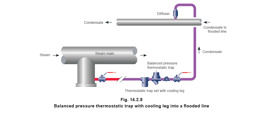 Learn about steam